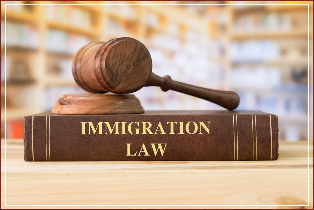 Ig_law_immigration